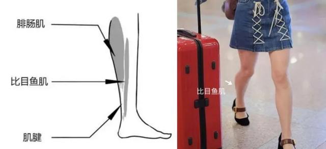 越南第一美女,热巴的脸柳岩的胸关晓彤的腿!她是怎么锻炼的?