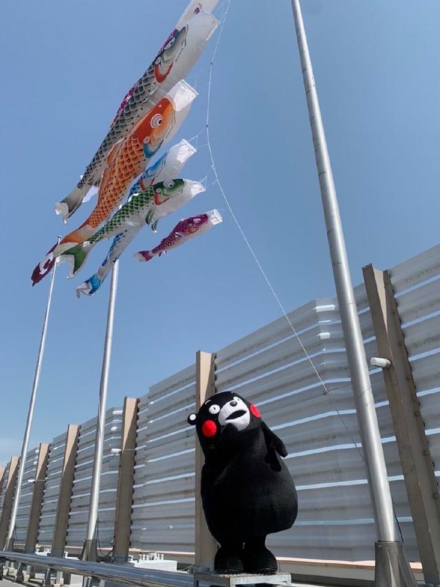 洋葱日语:传统节日小科普:“新年”女儿节 男孩节