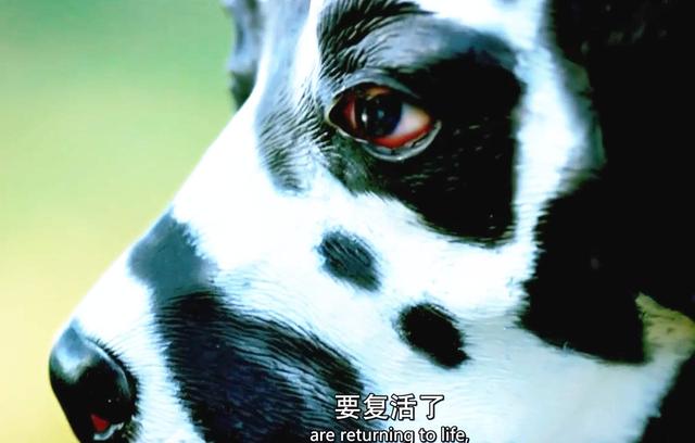 为什么说上帝像个喜怒无常的妇人?